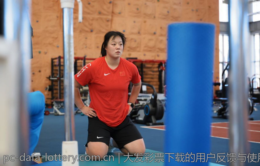 大发彩票下载的用户反馈与使用指南