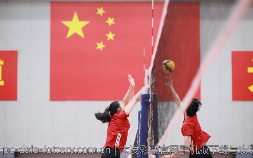 大发彩票官网手机版下载与安装步骤详解