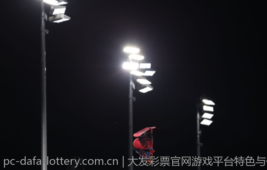 大发彩票官网游戏平台特色与优势汇总