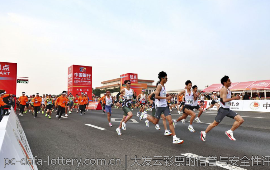 大发云彩票的信誉与安全性评估